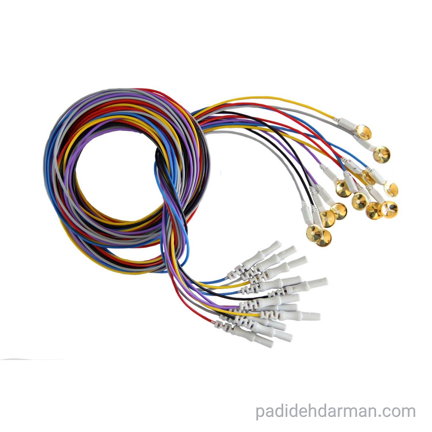 Electrode Disk